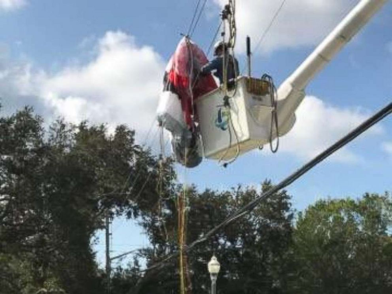 Illustration for article titled Florida Man™ Strikes Again!